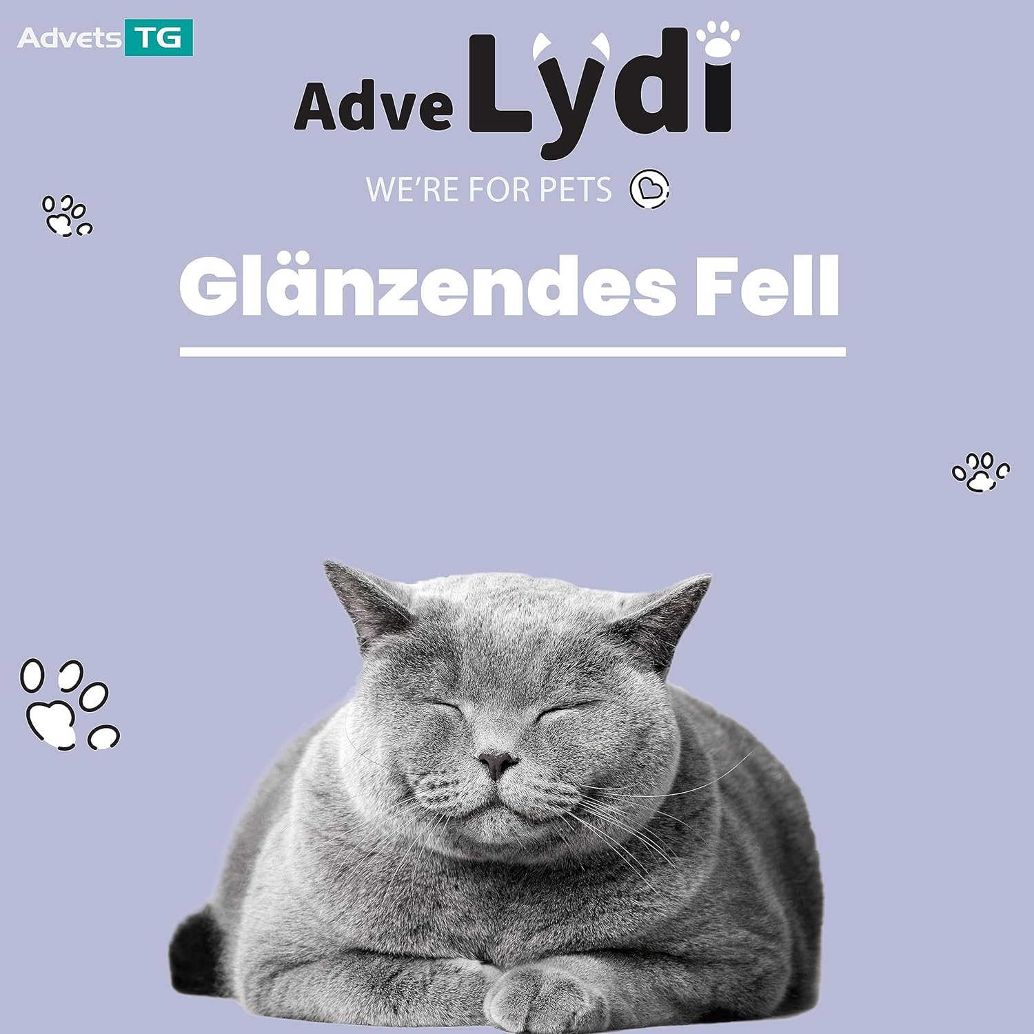 Adve Lydi 15