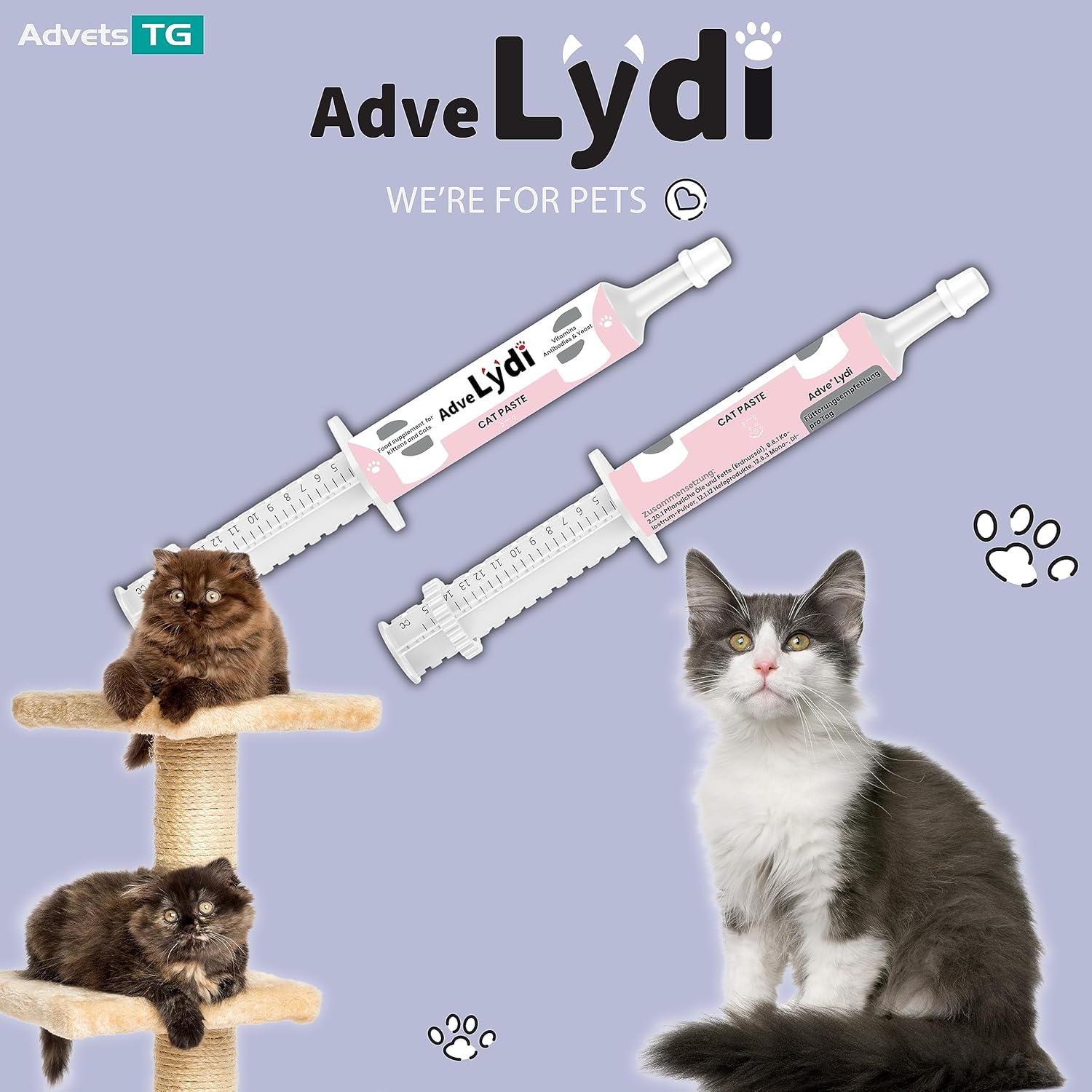 Adve Lydi 15