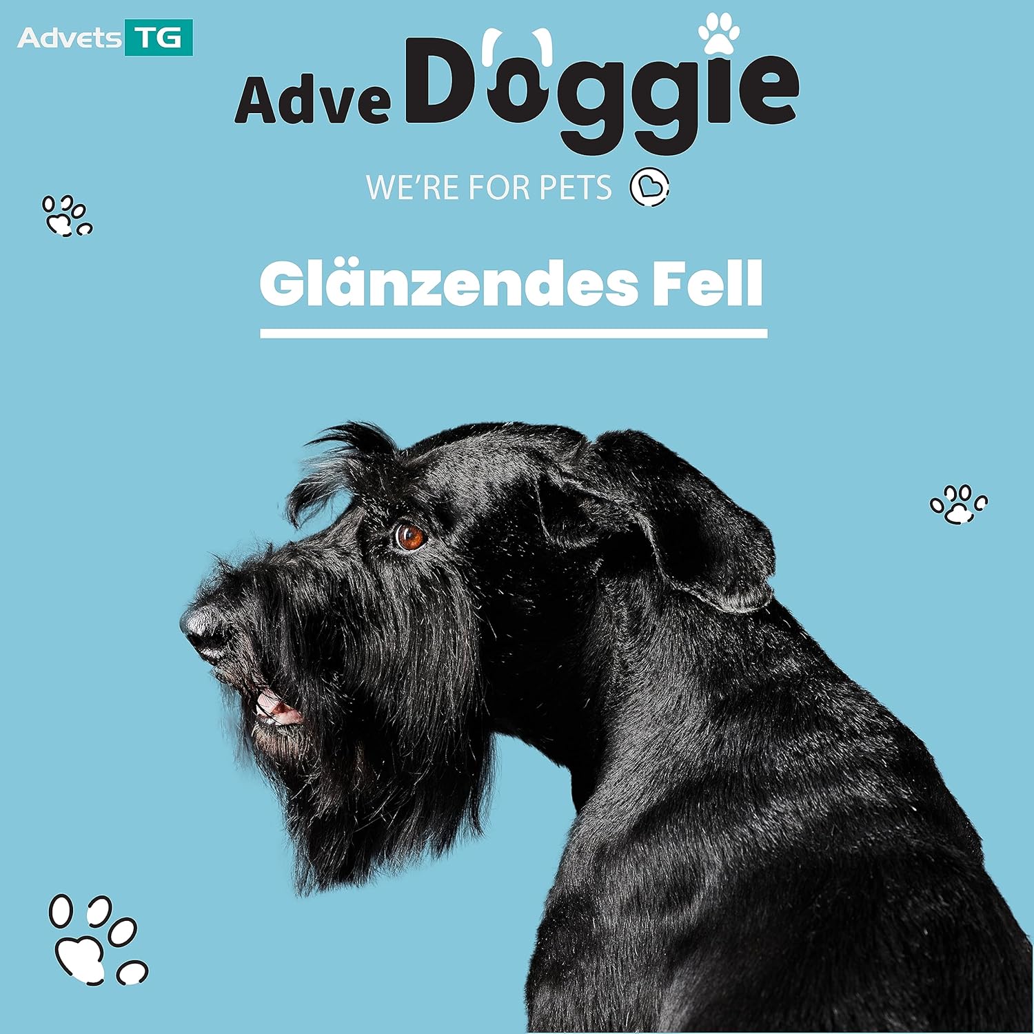 Adve Doggie