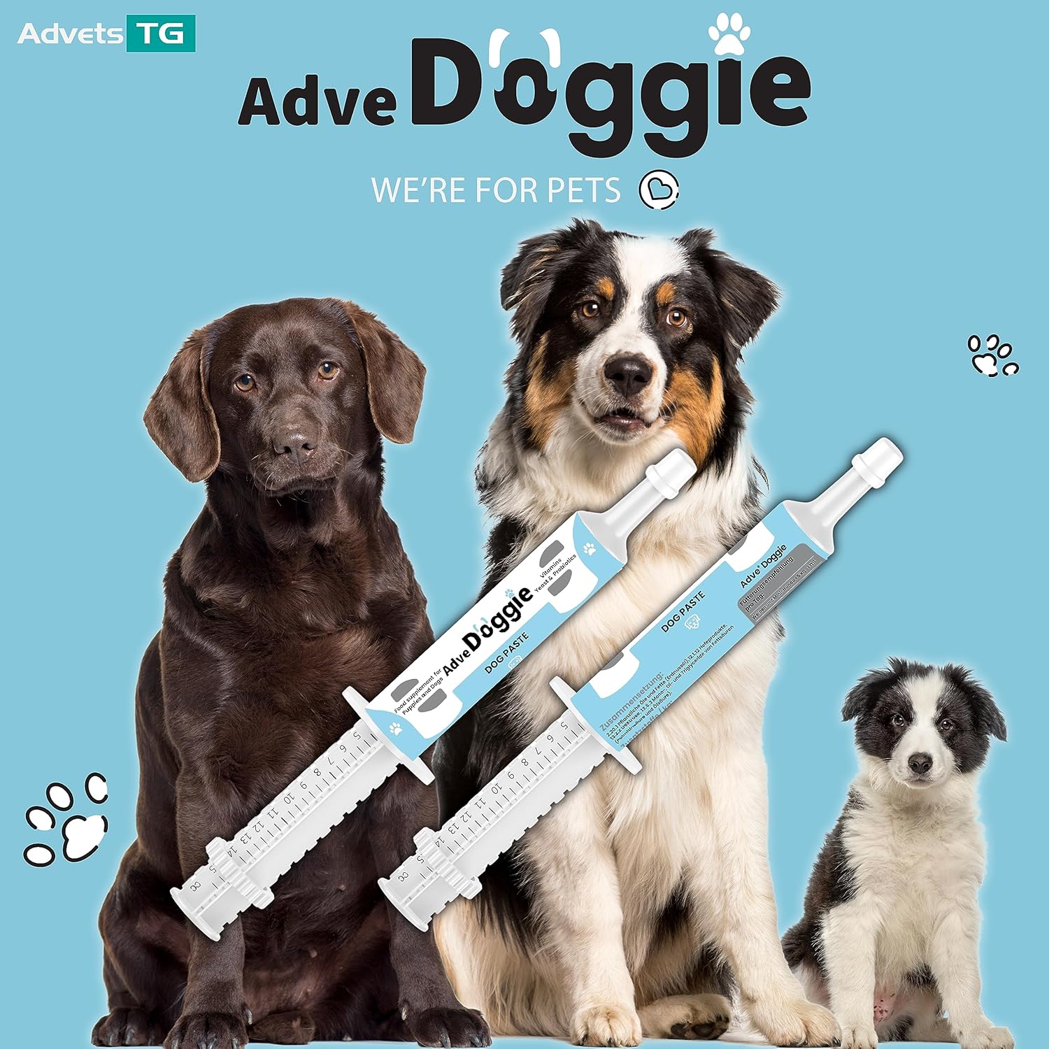 Adve Doggie