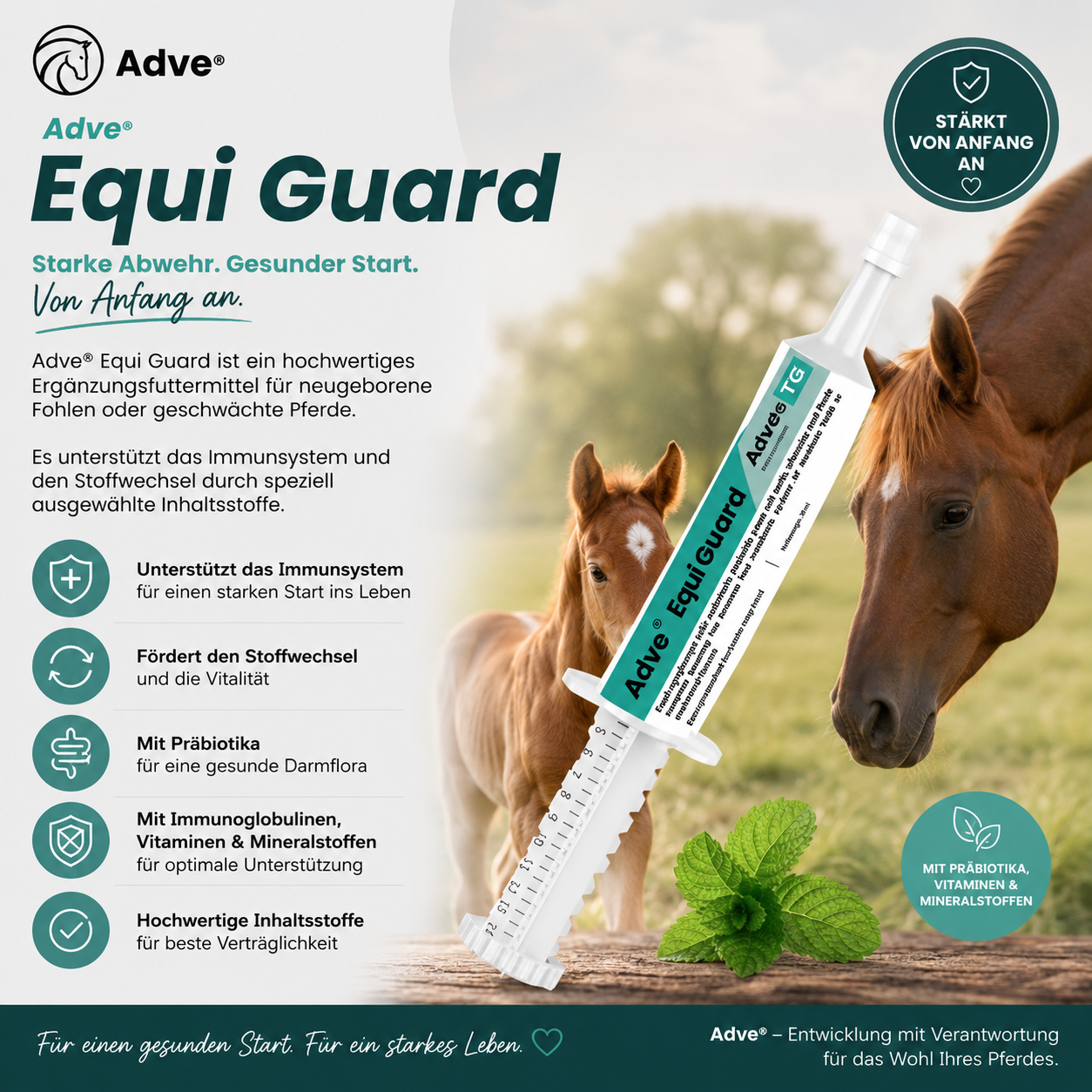 Adve® Equi Guard für Pferde & Fohlen | Immunsystem, Darmflora & Vitalität