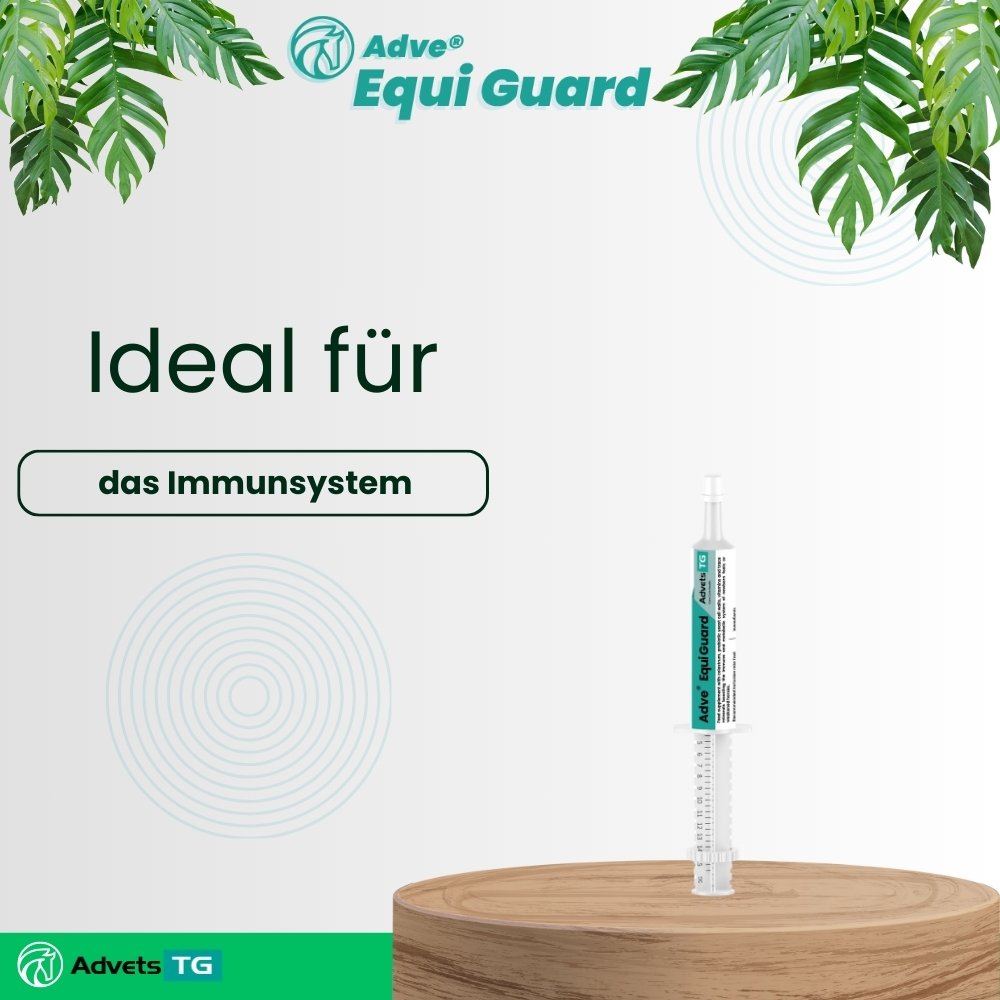 Adve Equi Guard