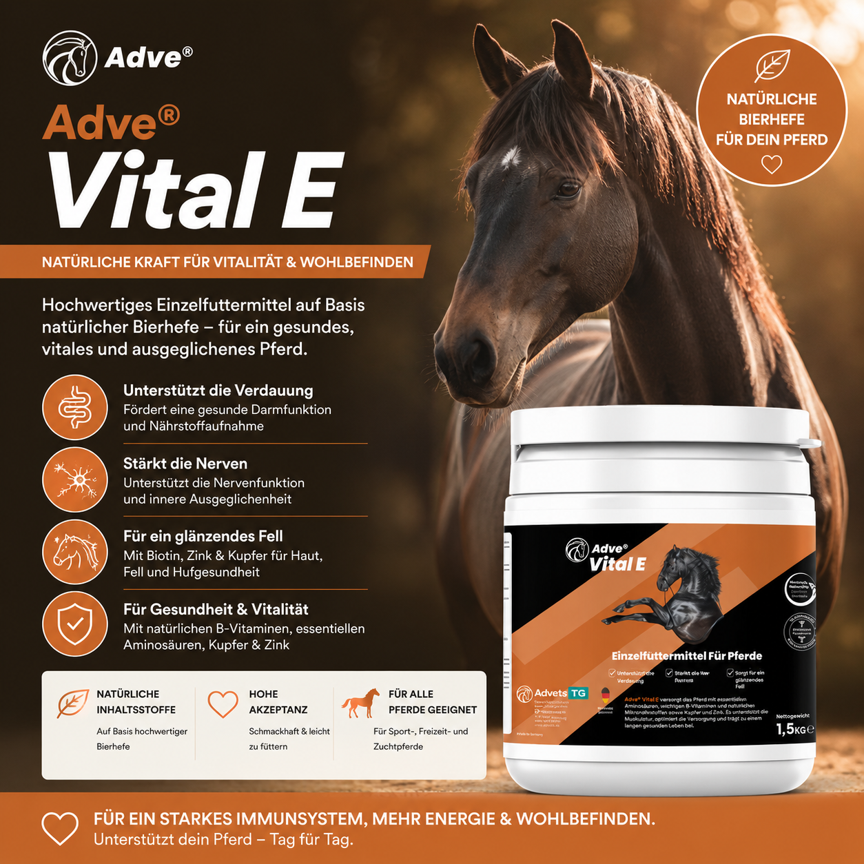 Adve® Vital E Bierhefe für Pferde | Verdauung & Fell