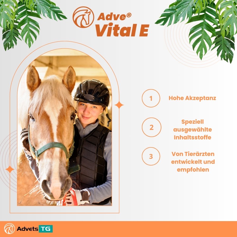 Fellwechsel? Kein Problem mit Adve Vital E und Magno Balance Mash!