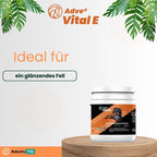 Fellwechsel? Kein Problem mit Adve Vital E und Magno Balance Mash!
