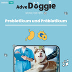 Adve Doggie
