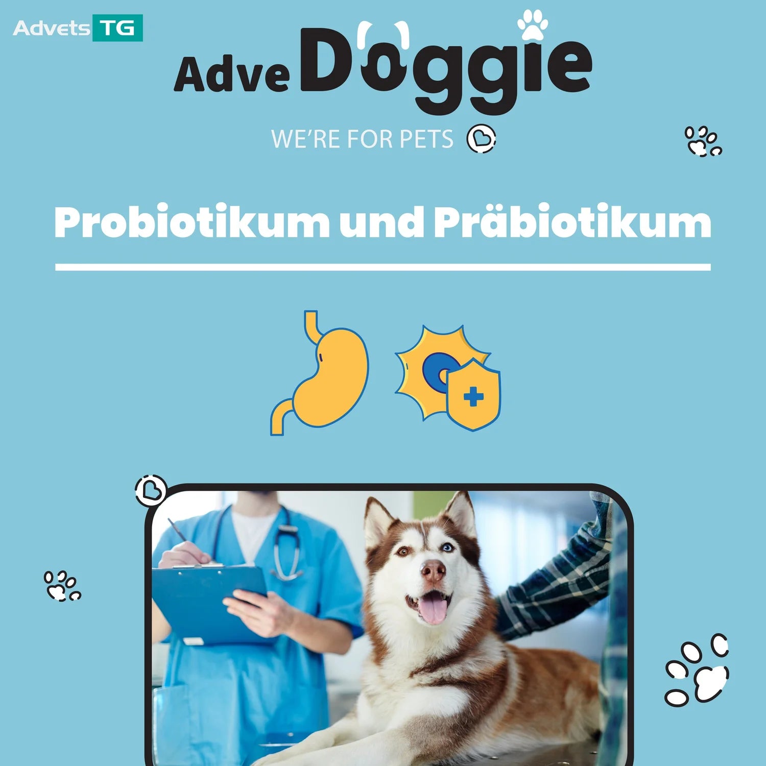 Adve Doggie