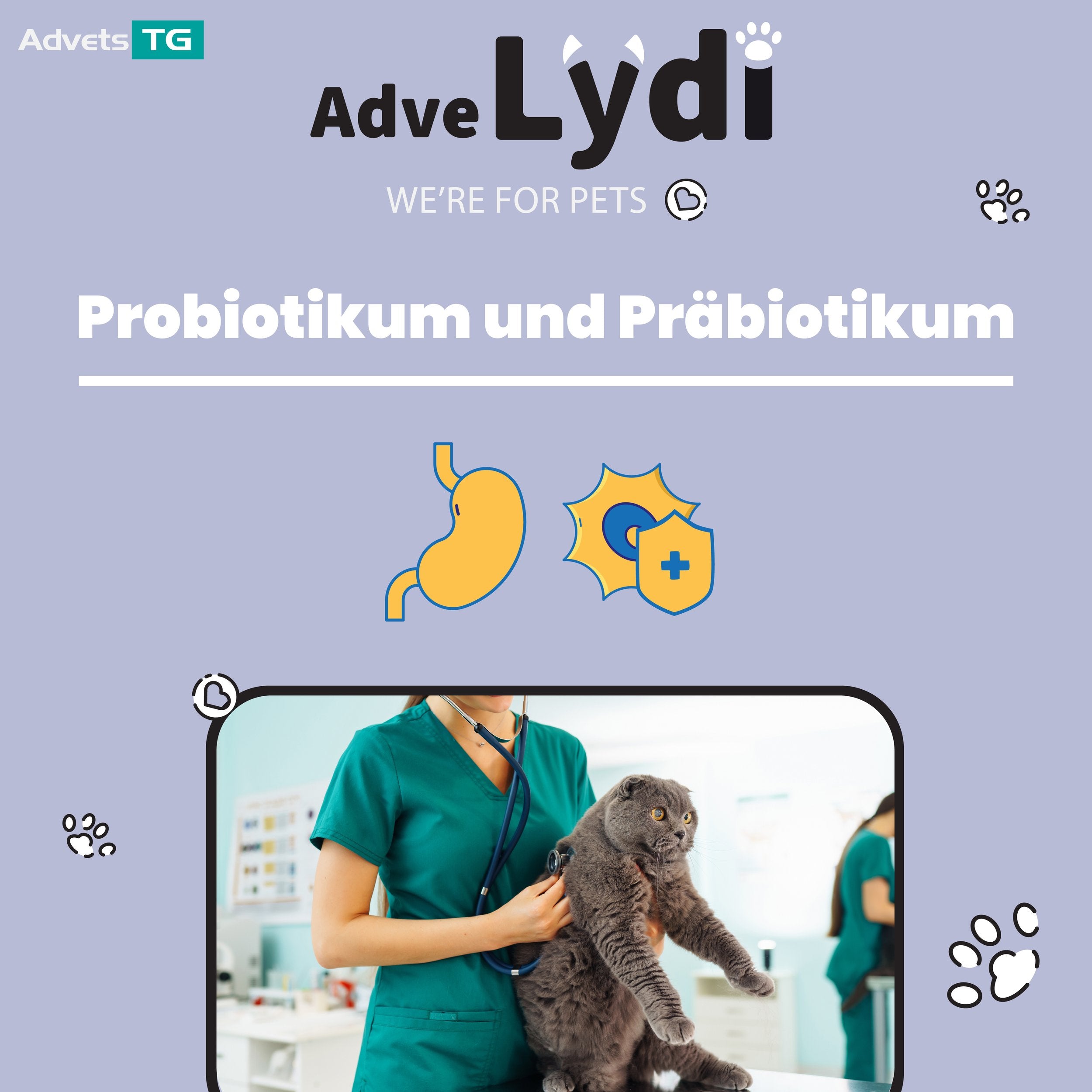 Adve Lydi 15