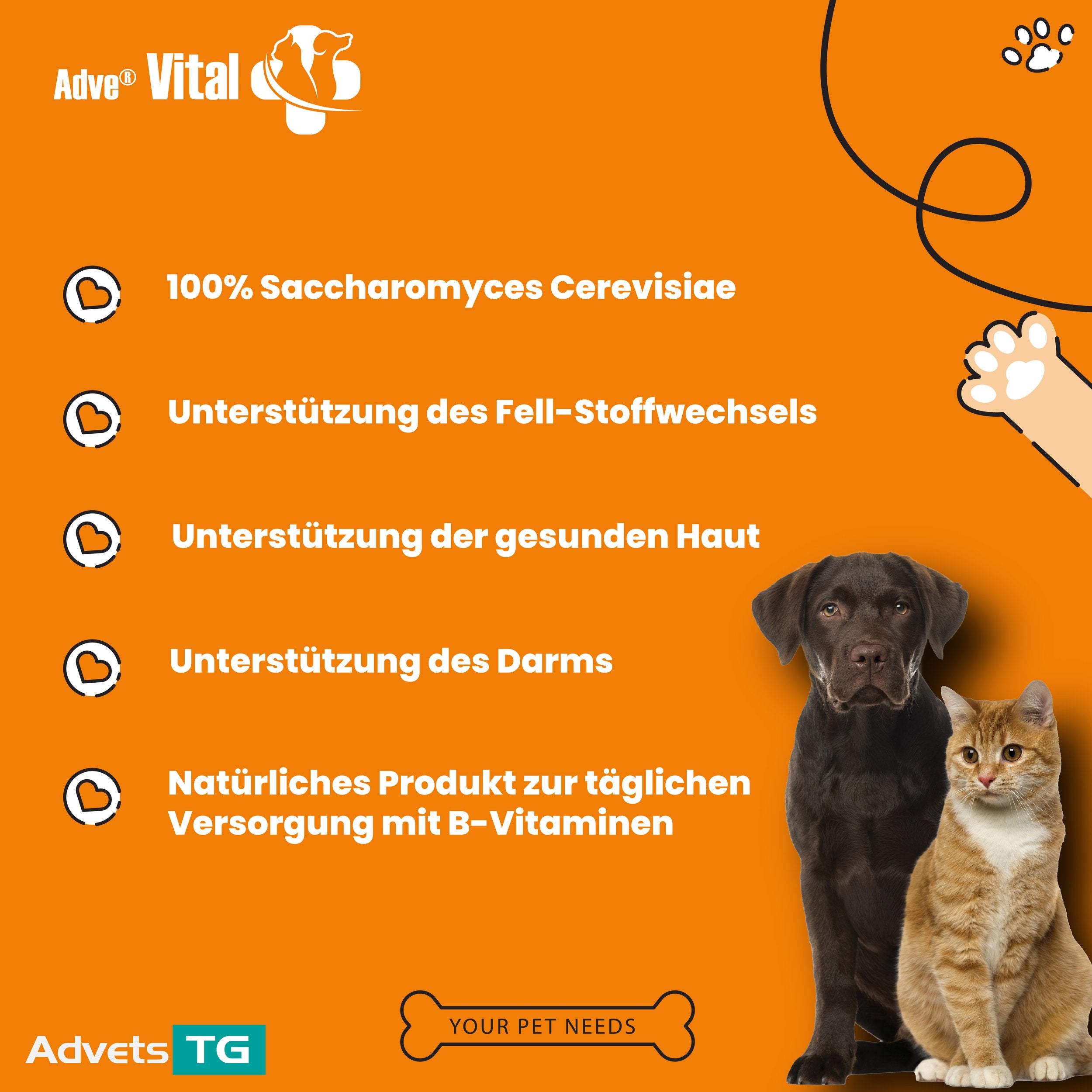 Adve Vital
