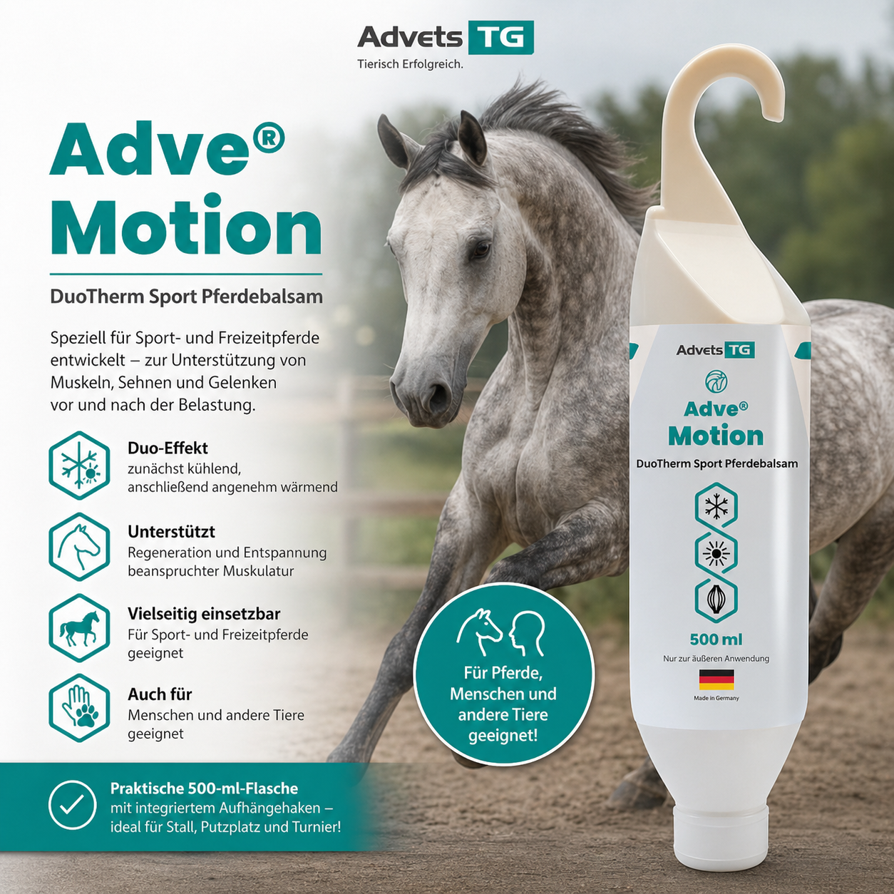 Adve® Motion für Pferde | Kühl- & Wärmegel für Muskeln, Sehnen & Gelenke